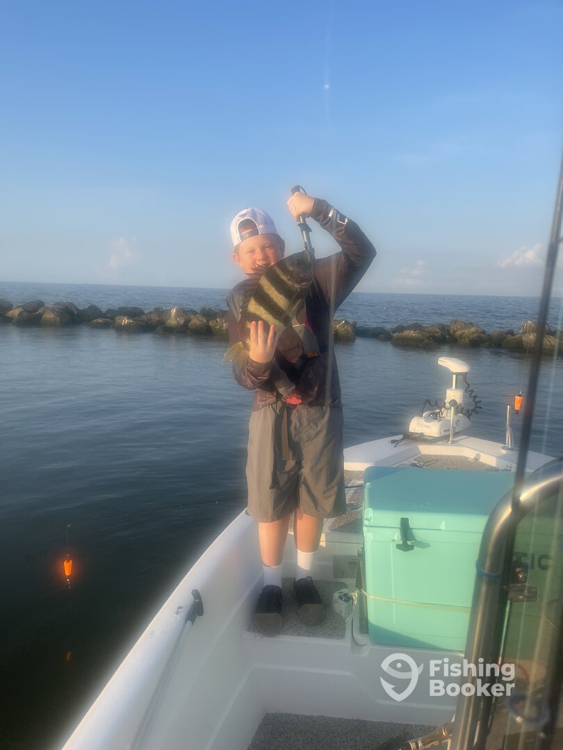 St. Bernard Report Photo 0