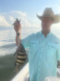 St. Bernard Report Photo 2