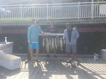 Freddie B Sportfishing Happenings