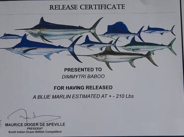 Le Morne Report Photo 1