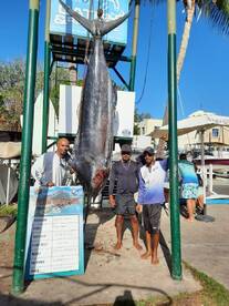 MARLIN 633 LBS