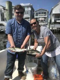 Highlands Report Photo 1