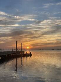 Falling Quick Into Fall