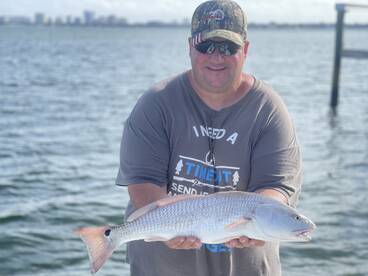 Sarasota Report Photo 1