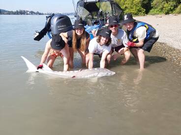 19 Sturgeon and Counting