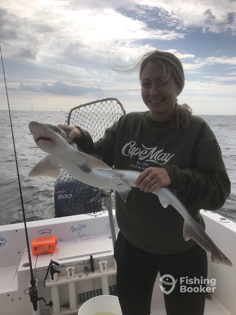 Highlands Report Photo 0