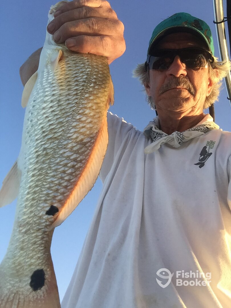 Texas City Report Photo 0