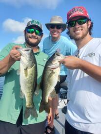 Orlando Report Photo 2