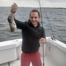 New York City Report Photo 1