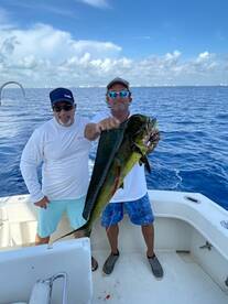 Fort Lauderdale Report Photo 1