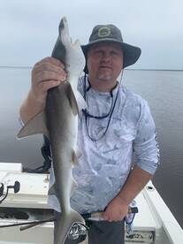 Clearwater Report Photo 2