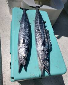 Wahoo streak continues 