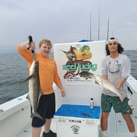 St. Petersburg Report Photo 1