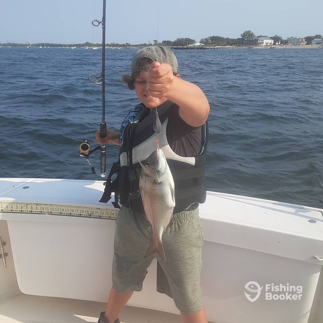 New York City Report Photo 0