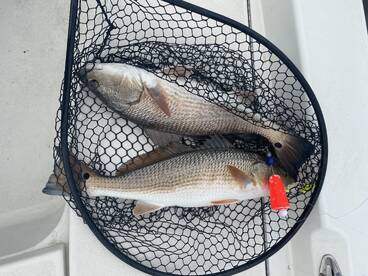 FALL FISHING IS HERE!!