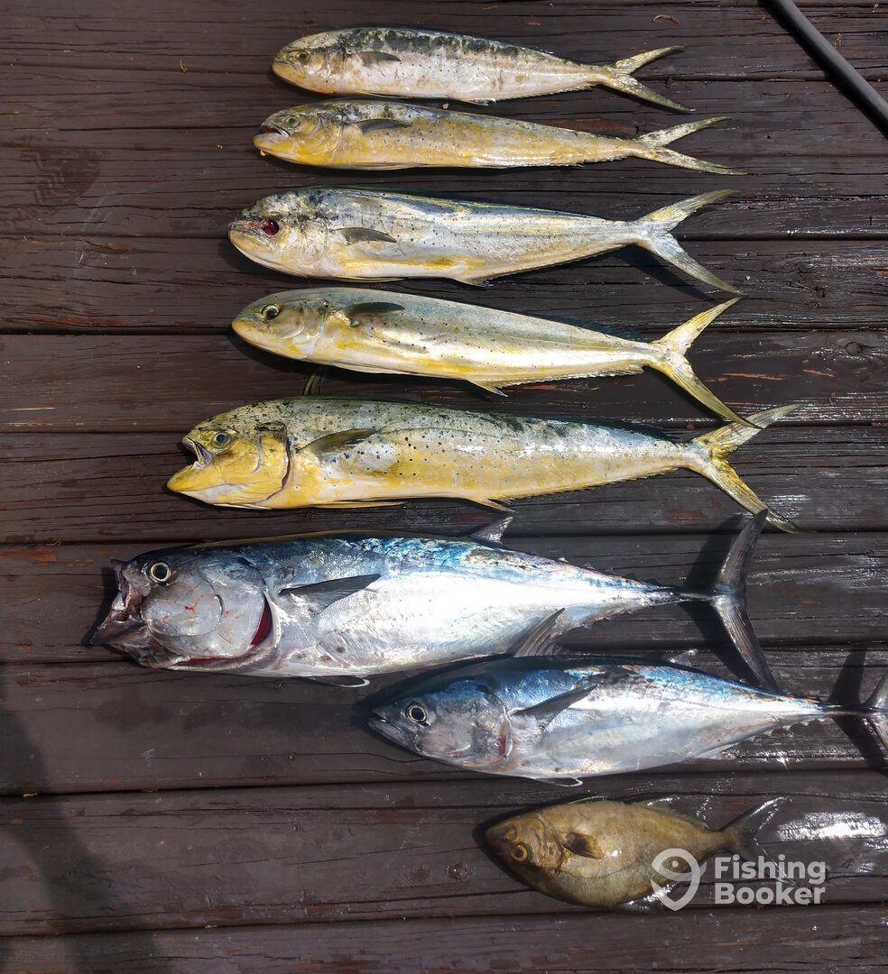 Fort Lauderdale Report Photo 0