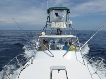 Quepos Report Photo 1