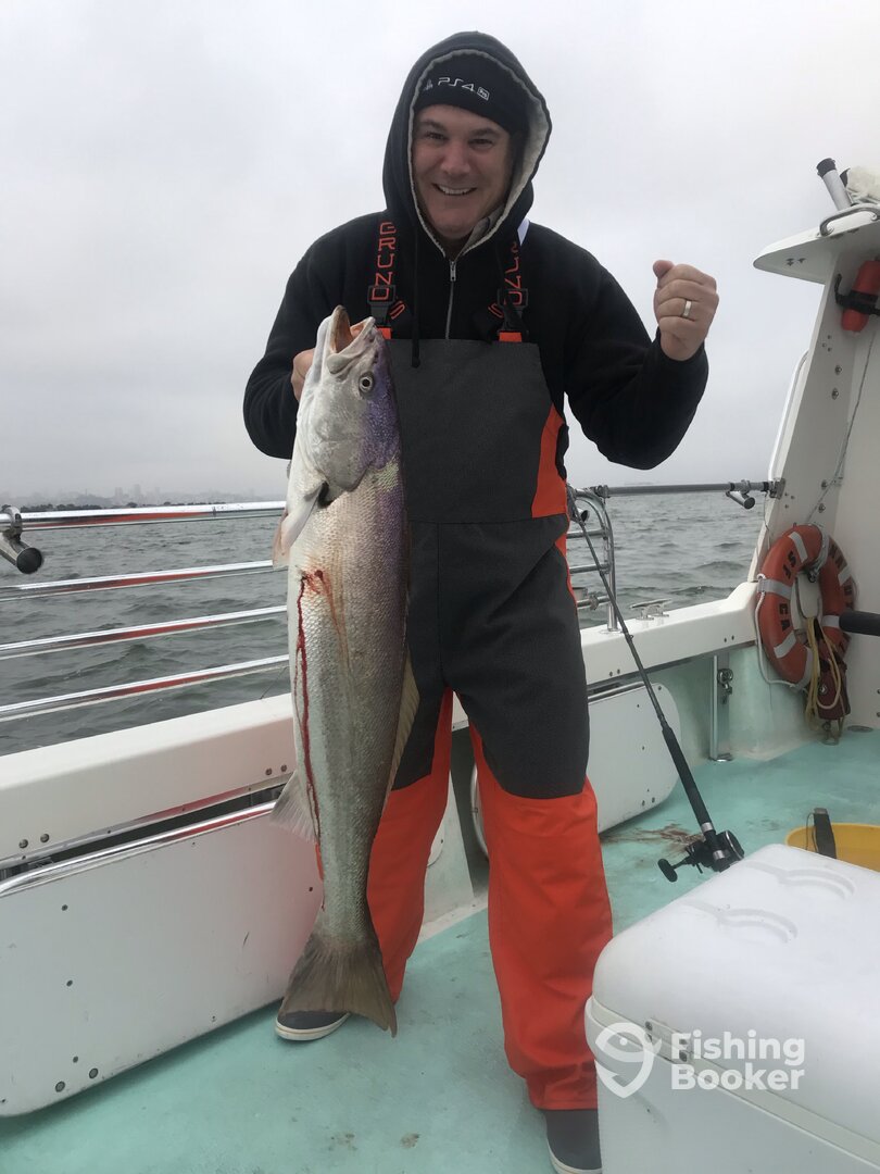 San Francisco Report Photo 0