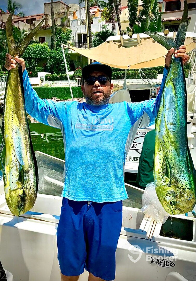 Puerto Vallarta Report Photo 0