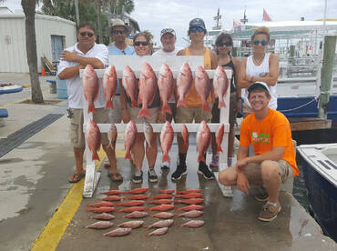 Panama City Report Photo 2