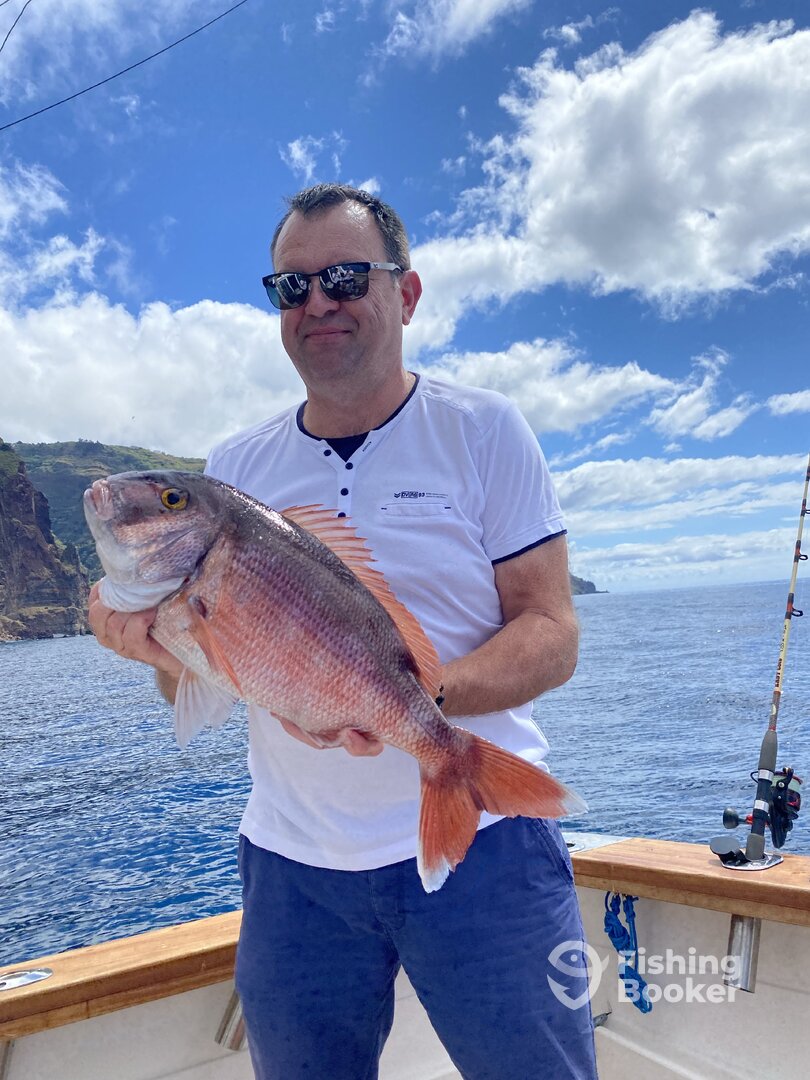 Calheta Report Photo 0