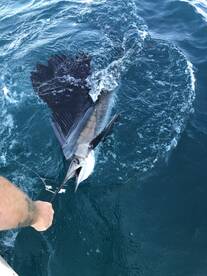 Fort Pierce Report Photo 2