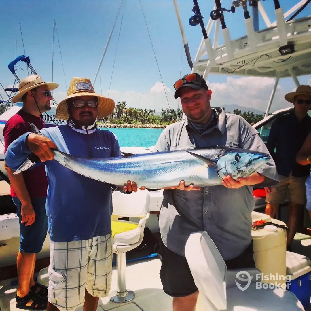 San Jose del Cabo Report Photo 0