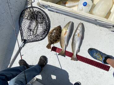 Galveston Report Photo 1