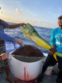 Roatan Sport Fishing 