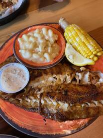 Bay Pines Report Photo 2