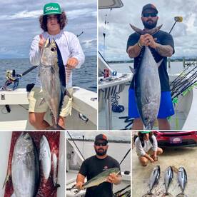 Shalimar Report Photo 1