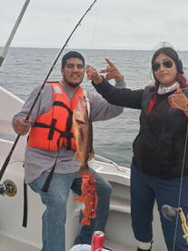 Diviertete con tus amigos en Ensenada. 