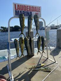 October/November Fishing Fort Laudersale