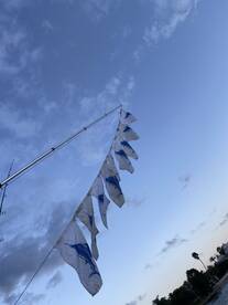 Personal best day last year in fall 2020