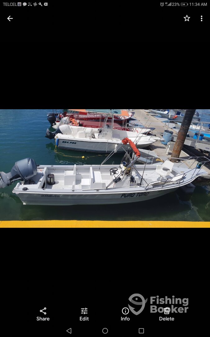 Cabo San Lucas Report Photo 0