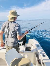 Puerto Vallarta Report Photo 2