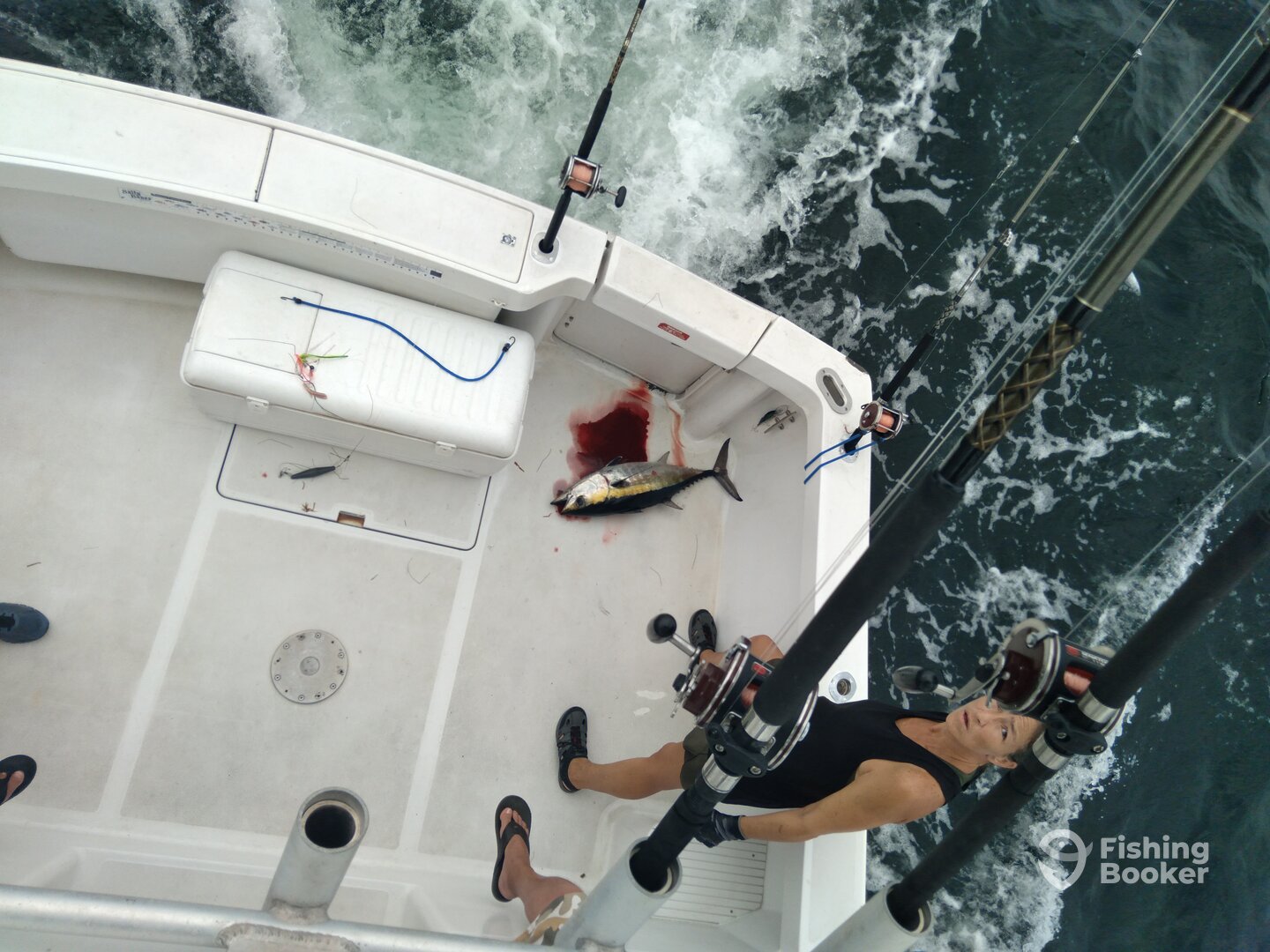 Niceville Report Photo 0