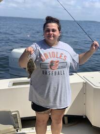 Bellevue Report Photo 1