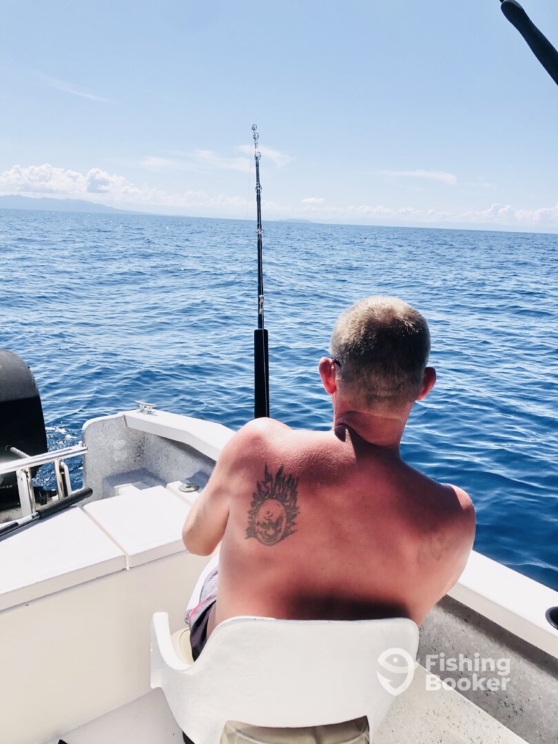 Puerto Vallarta Report Photo 0