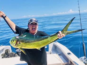 Puerto Vallarta Report Photo 1