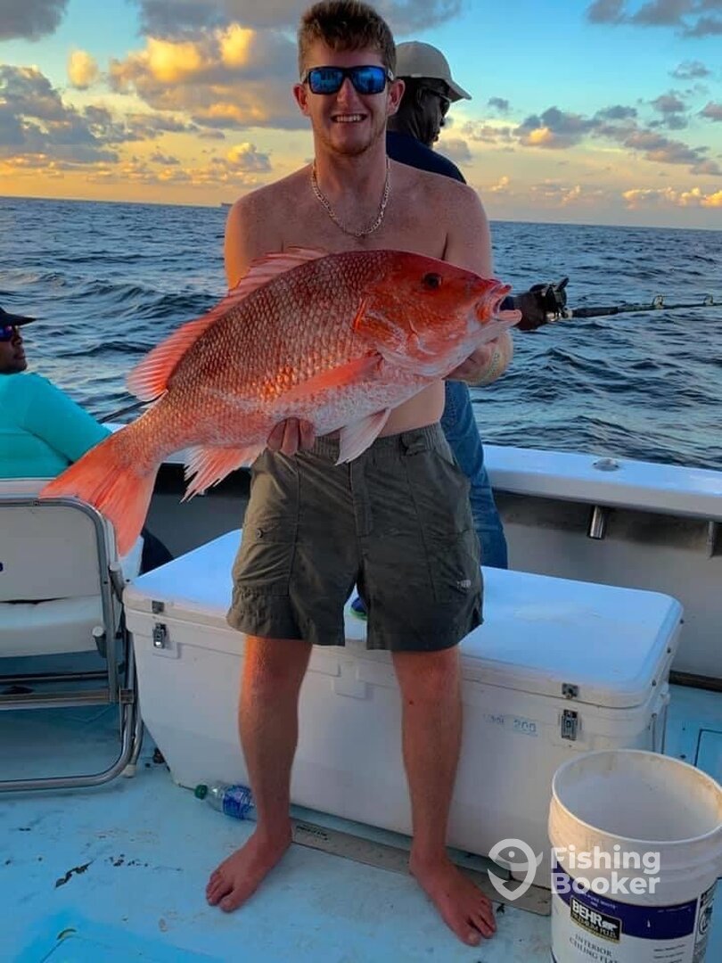 Biloxi Report Photo 0