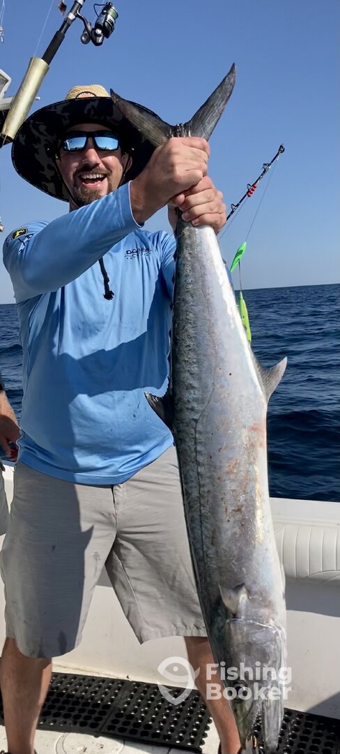 Shalimar Report Photo 0