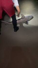 New Smyrna Beach Report Photo 2