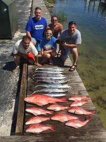 Snapper and mackerel!