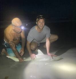 New Smyrna Beach Report Photo 2