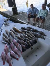 Venice Report Photo 2