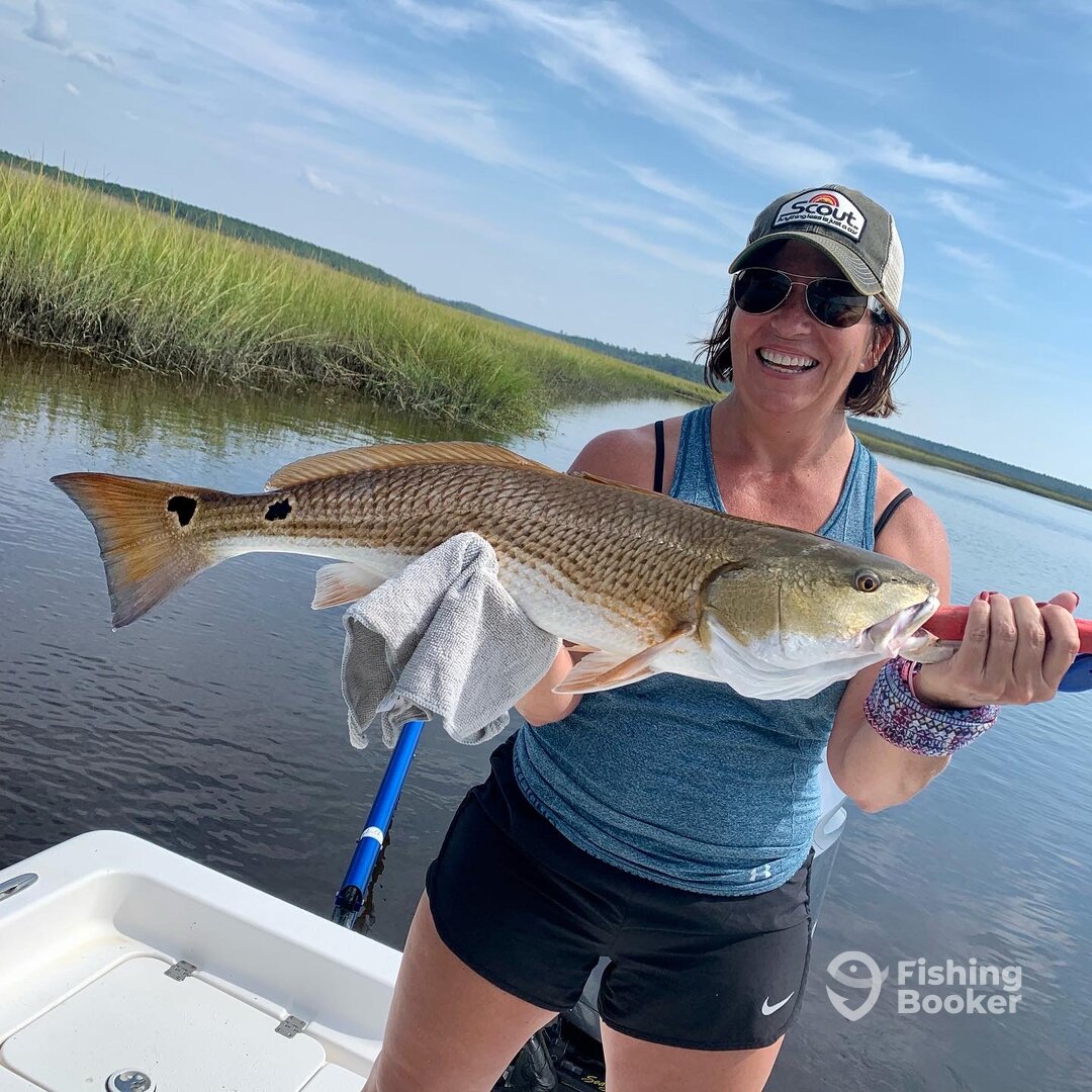 Mount Pleasant Report Photo 0