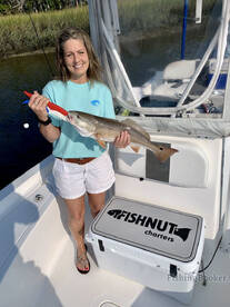 Mount Pleasant Report Photo 2