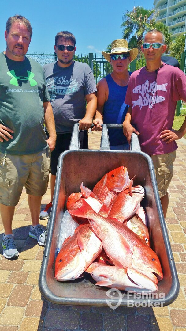 Orange Beach Report Photo 0