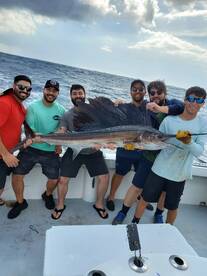 Dania Beach Report Photo 2